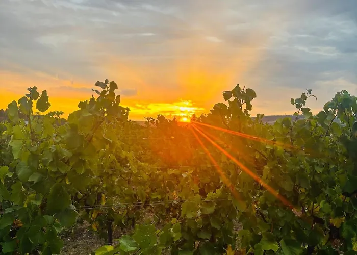 Da Toni Giuliano Apartman Rüdesheim am Rhein